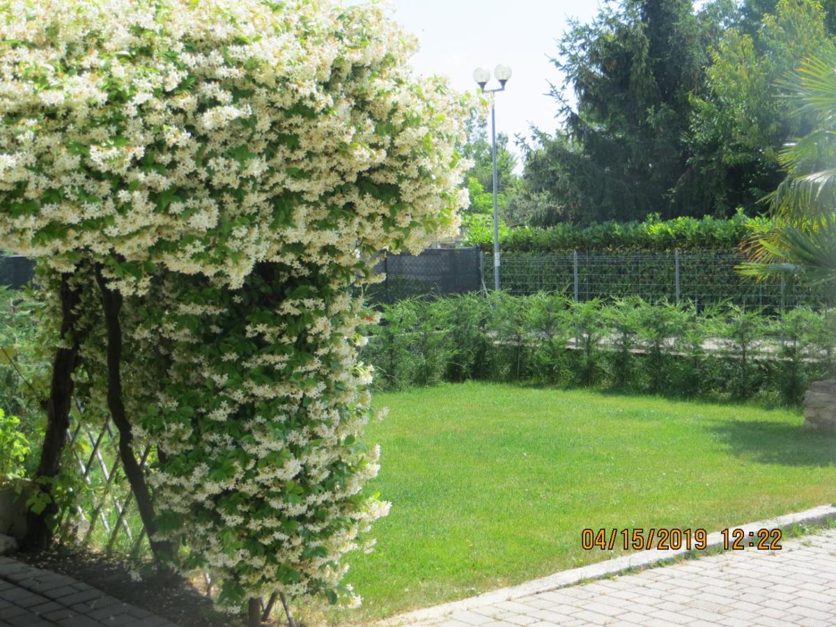 Bed and Breakfast 5 Palme Terzo d' Aquileia Exteriér fotografie