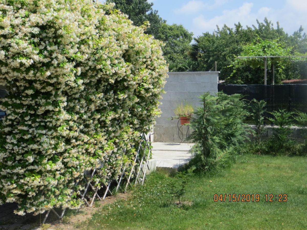 Bed and Breakfast 5 Palme Terzo d' Aquileia Exteriér fotografie