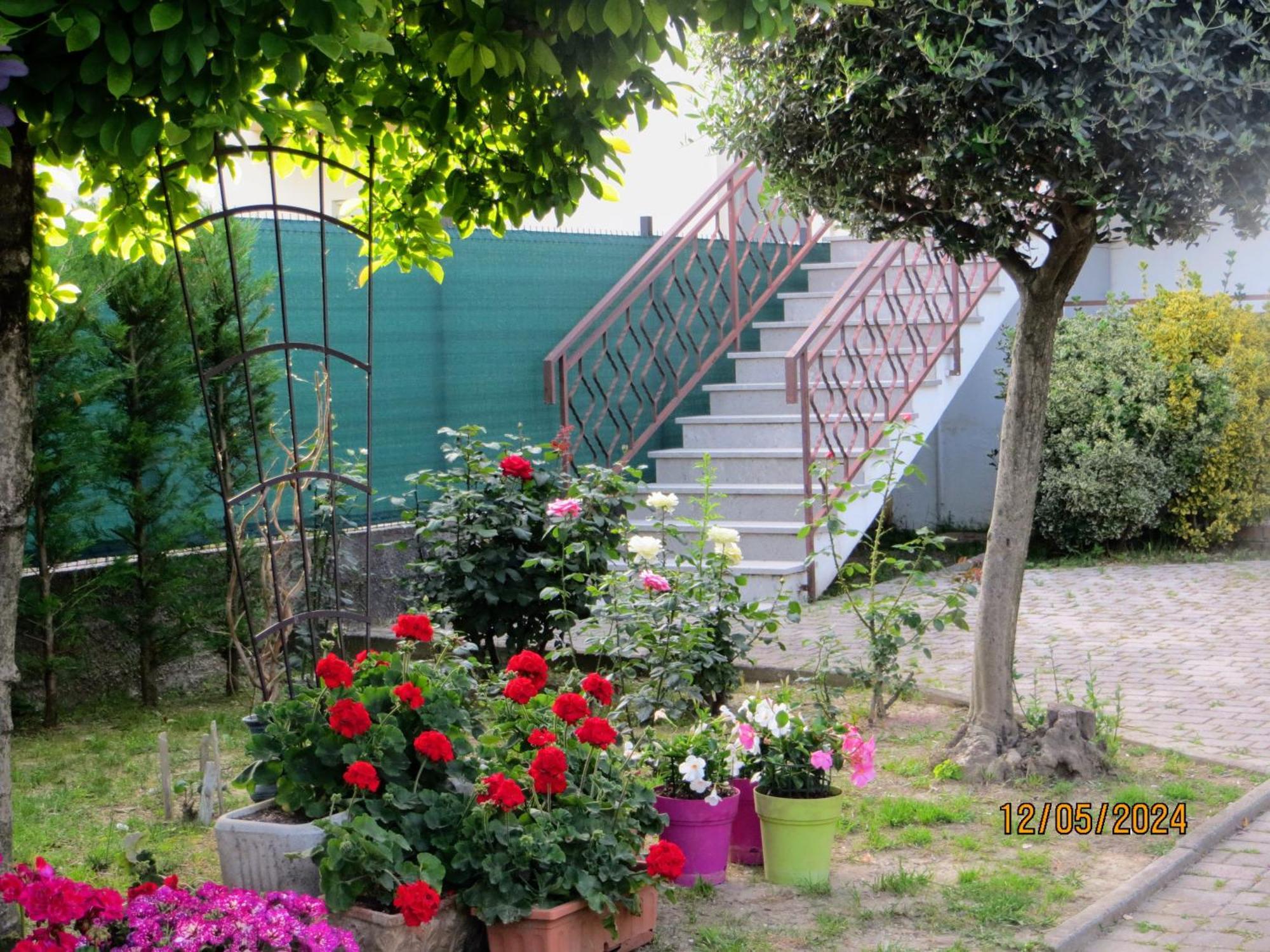 Bed and Breakfast 5 Palme Terzo d' Aquileia Exteriér fotografie