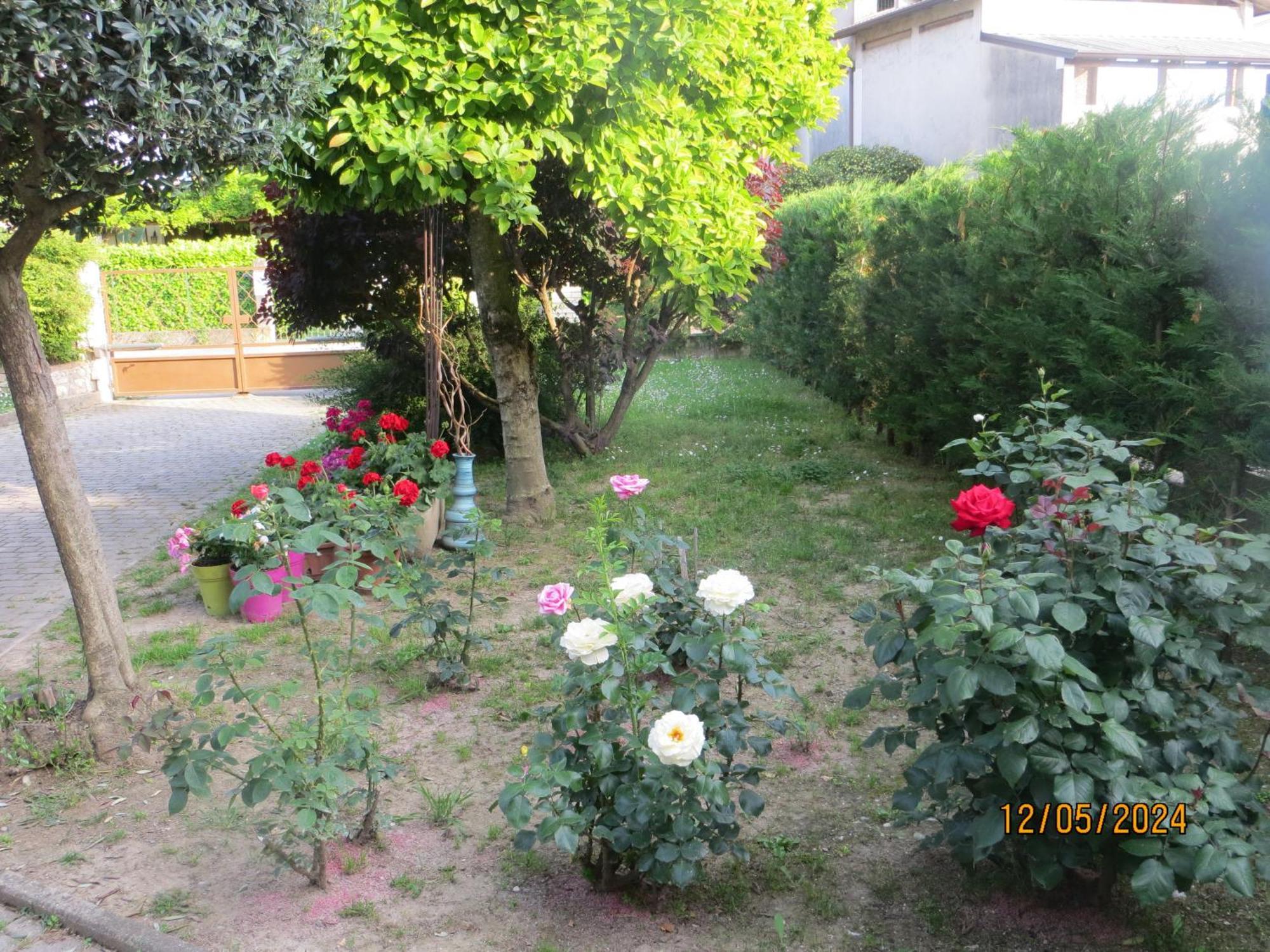 Bed and Breakfast 5 Palme Terzo d' Aquileia Exteriér fotografie