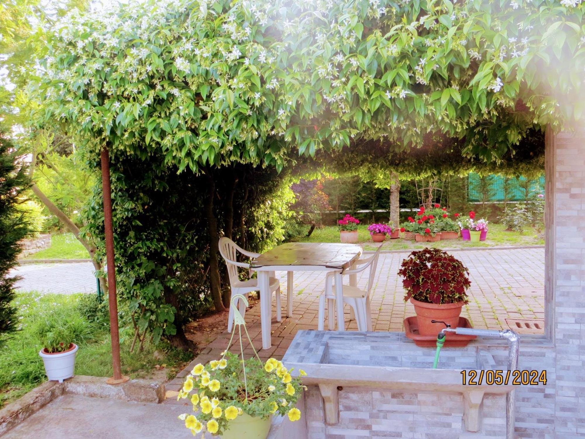 Bed and Breakfast 5 Palme Terzo d' Aquileia Exteriér fotografie
